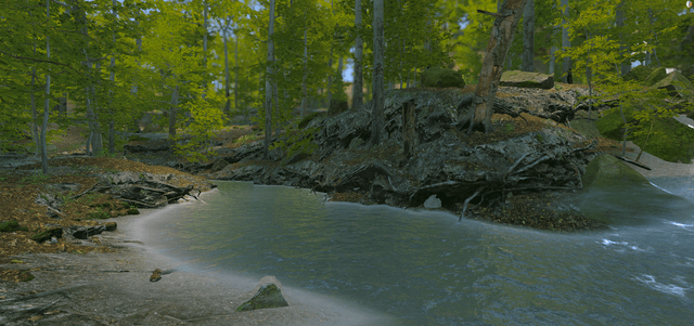 Photorealistic Nature Environments
