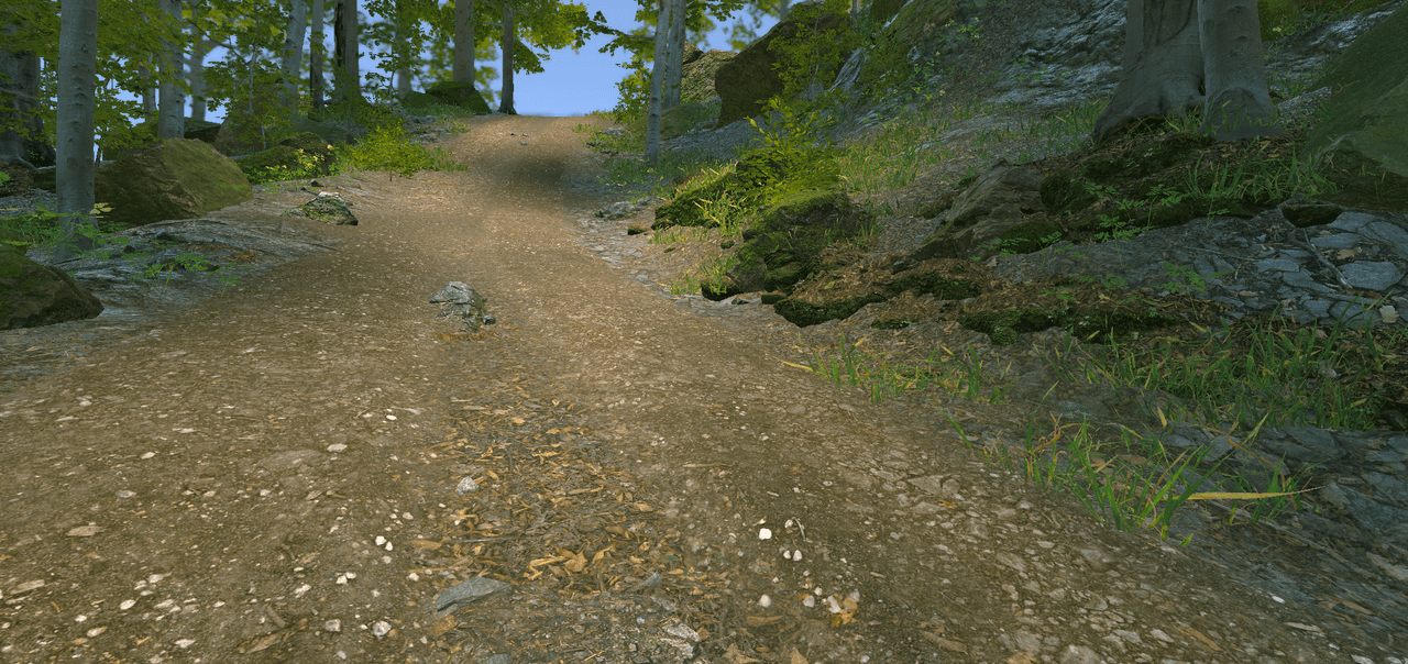 Photorealistic forest mountain environment